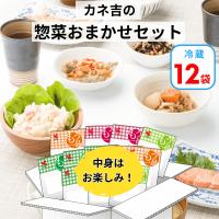 カネ吉の惣菜おまかせセット(12袋)