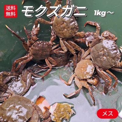 モクズガニ 5kg モクズガニ 5kg