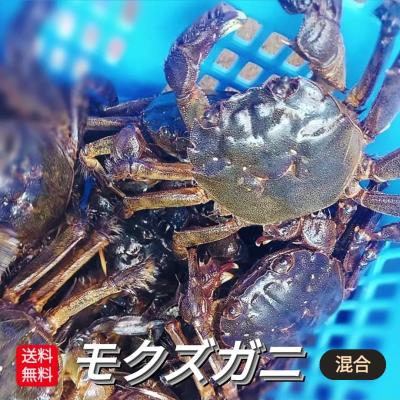 モクズガニ  2キロ強　大サイズ 🧊急速冷凍モクズガニ🦀大サイズ2kg(目安9-15杯) 2kg入り×1箱で