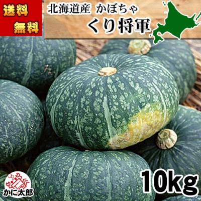 栗かぼちゃのおすすめ人気商品一覧 通販 - Yahoo!ショッピング