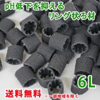 Ph低下を抑える ろ材 リング バイオレジェンドbk 3l 関西化工 Bk 03 水処理部品の関西化工株式会社 通販 Yahoo ショッピング