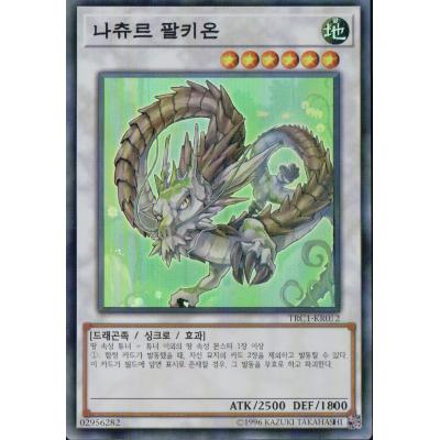 遊戯王 ナチュル（トレーディングカード） | ゲーム、おもちゃ の商品