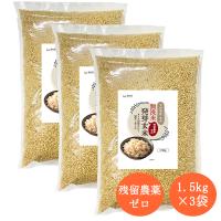 春日屋公式ストア - Yahoo!ショッピング