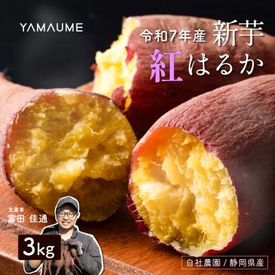 紅はるか 苗のおすすめ人気ランキングTOP100 - Yahoo!ショッピング