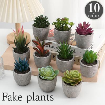 多肉植物（人工観葉、フェイクグリーン） | 花、ガーデニング の商品
