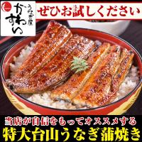 うなぎ屋かわすいの新しい取り組み！かわすいの台山うなぎ蒲焼き お頭付き特大サイズ200g×1本(中国産 肉厚) 