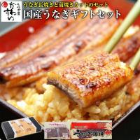 ギフト 国産 うなぎ 蒲焼き 中サイズ1本とカット2枚(鰻 ウナギ プレゼント) 