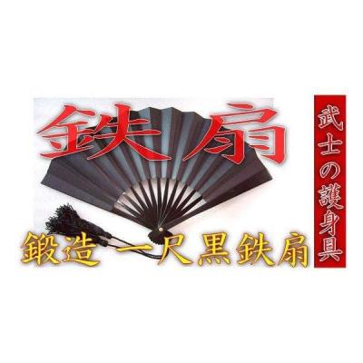 鉄扇 全て鉄のおすすめ人気商品一覧 通販 - Yahoo!ショッピング