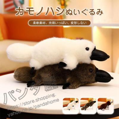 カモノハシペリー ぬいぐるみのおすすめ人気商品一覧 通販 - Yahoo