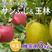 お歳暮 りんご サンふじ&王林 詰合せ 3kg（10玉入り）贈答用 中玉【由右衛門果樹園】文化の日 七五三 冬支度 勤労感謝 冬至 プレゼント お祝い