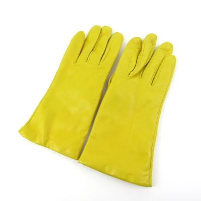 sermoneta gloveのおすすめ人気商品一覧 通販 - Yahoo!ショッピング