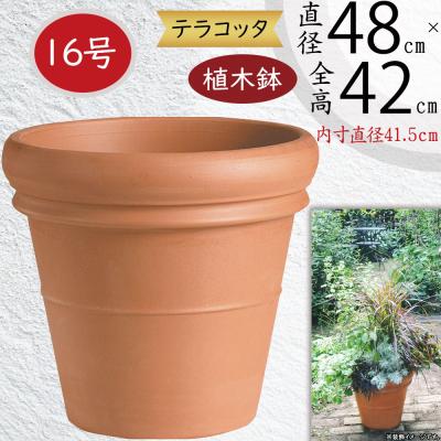 植木鉢　大型　陶器　特上品 素焼き鉢14号（植木鉢）｜鉢、プランター｜園芸用品 | 花