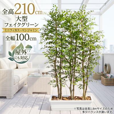 インテリアグリーンと植木鉢の通信販売 - □インテリアグリーン｜Yahoo