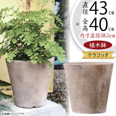テラコッタ プランター 40センチ（植木鉢）｜鉢、プランター｜園芸用品