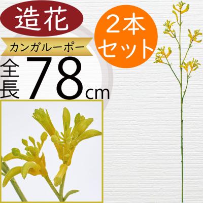 カンガルーポーのおすすめ人気ランキングTOP100 - Yahoo!ショッピング