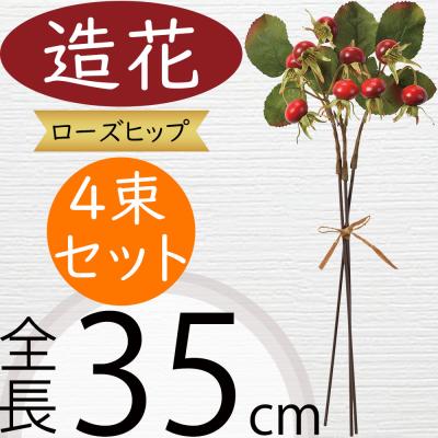 バラの実のおすすめ人気商品一覧 通販 - Yahoo!ショッピング