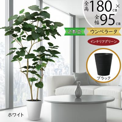 インテリアグリーンと植木鉢の通信販売 - 光触媒加工｜Yahoo!ショッピング