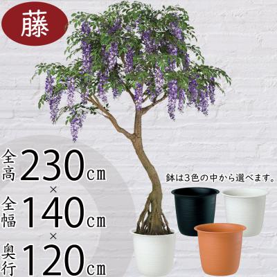インテリアグリーンと植木鉢の通信販売 - コアッド｜Yahoo!ショッピング