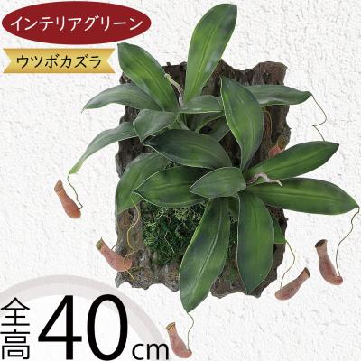 カズラ（人工観葉、フェイクグリーン） | 花、ガーデニング のおすすめ