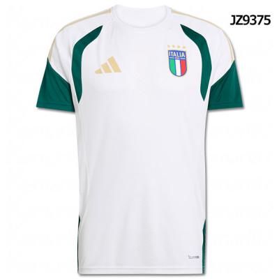 【新品/タグ付き】2024 イタリア代表 ♯8 トナーリ【XLサイズ】選手仕様 💜⚽️👜 coming soon