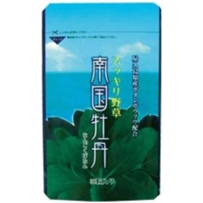 野草酵素 2本セット お得12袋セット】酵素精310 乳酸菌EC-12 （サプリメント） 60粒