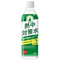 熱中対策水　日向夏味　５００ｍＬ×24 | ケンコージョイ