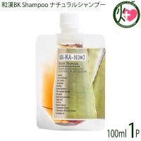 和漢BK Shampoo ナチュラルシャンプー 洗髪料 100ml×1本 | けんこう畑