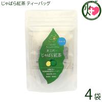 じゃばら紅茶 ティーバッグ 2g×10P×4袋 茶三代一 | けんこう畑