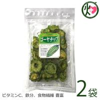 ゴーヤーチップ 63g×2袋 丸茂食品 沖縄 土産 人気 野菜チップス 苦瓜 苦瓜 ドライ野菜 おやつ 植物インスリン チャランチン コロコリン酸 | けんこう畑