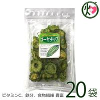 ゴーヤーチップ 63g×20袋 丸茂食品 沖縄 土産 人気 野菜チップス 苦瓜 苦瓜 ドライ野菜 おやつ 植物インスリン チャランチン コロコリン酸 | けんこう畑