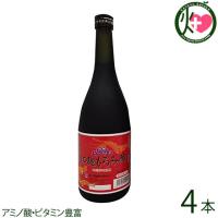 紅麹もろみ酢 720ml×4本 ガイア物産 沖縄 土産 人気 飲むお酢 もろみ酢 アミノ酸・ビタミン豊富 | けんこう畑