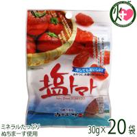 塩トマト 30g×20P 沖縄美健販売 ドライトマト ミネラル補給 リコピン 沖縄土産 沖縄 人気 | けんこう畑