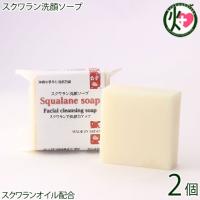 スクワラン洗顔ソープ 100g×2個 スクワラン本舗 スクワランオイル配合 保湿力の高い石鹸 沖縄 洗顔 石けん 美容 顔、全身に | けんこう畑