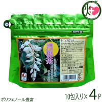 月桃茶 ティーパック(2g×10包入)×4袋 うっちん沖縄 沖縄 土産 人気 健康茶 健康管理 チャック式の平アルミパック仕様 ポリフェノール豊富 | けんこう畑