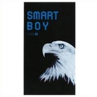 オカモトスマートボーイ (SMART BOY) スーパーフィット12個入り【MK】(ゆうパケット配送対象) | ケンコーエクスプレス2号店