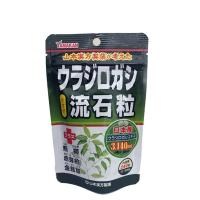 山本漢方製薬 ウラジロガシ 流石粒 240粒 | ケンコーエクスプレス