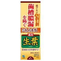 小林製薬 ひきしめ生葉 100g (医薬部外品) | ケンコーエクスプレス