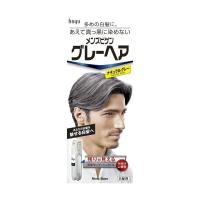 (あわせ買い2999円以上で送料無料)メンズビゲン グレーヘア ナチュラルグレー 80g | ケンコーライフ ヤフー店