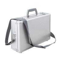 (あわせ買い2999円以上で送料無料)藤原産業 SK11 アルミケース AT-410S-N | ケンコーライフ ヤフー店