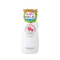 【あわせ買い2999円以上で送料無料】ヘアアクセルレーター フローラル 150ml | ケンコーライフ ヤフー店