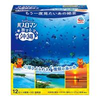 【あわせ買い2999円以上で送料無料】アース製薬 バスロマン 旅する沖縄 12包  薬用入浴剤 | ケンコーライフ ヤフー店