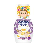 【あわせ買い2999円以上で送料無料】あわあわランド ぶどうの香り 300ml | ケンコーライフ ヤフー店