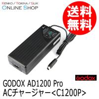 (取寄) Godox(ゴドックス) ACチャージャー C1200P 大光量フラッシュAD1200 Pro用アクセサリー 送料無料 | アウキャン ケンコー・トキナーオンラインショップ