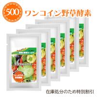 【在庫処分】  野草酵素 パウダー 渡邊薬品 サプリ 食物繊維 サプリメント コラーゲン ヒアルロン酸 酵素 野菜 野草 6袋　２０２４年9月 1袋500円 | とやま健康プラザ