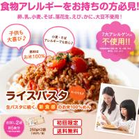 ライスパスタお試しセット250g×2袋 ケンミン飯店 常温 | 健民飯店 Yahoo!店