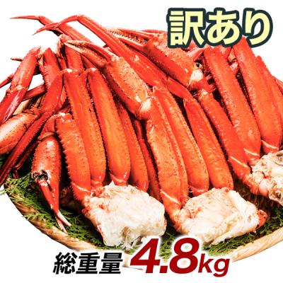 【お得‼️】トゲズワイガニ 2Lサイズ 2箱分 訳あり トゲズワイガニ脚 2kg 無選別 Sサイズ 業務用 ずわいがに