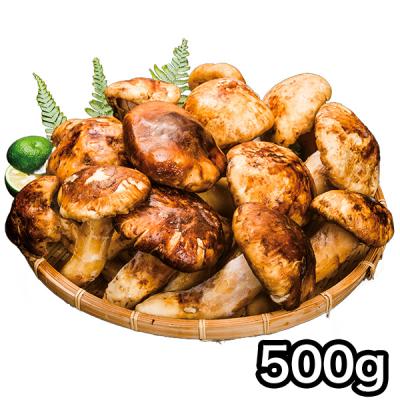 松茸｜キノコ｜野菜｜食品 おすすめ人気商品 通販 - Yahoo!ショッピング