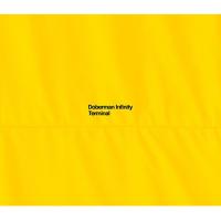 CD/DOBERMAN INFINITY/TERMINAL (CD+2DVD) (初回限定盤) | nordlandkenso