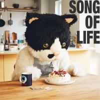 CD/むぎ(猫)/SONG OF LIFE (歌詞付) | nordlandkenso