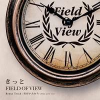 CD/FIELD OF VIEW/きっと | nordlandkenso